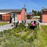 Közösségi munkát végeztek a csepeli diákok